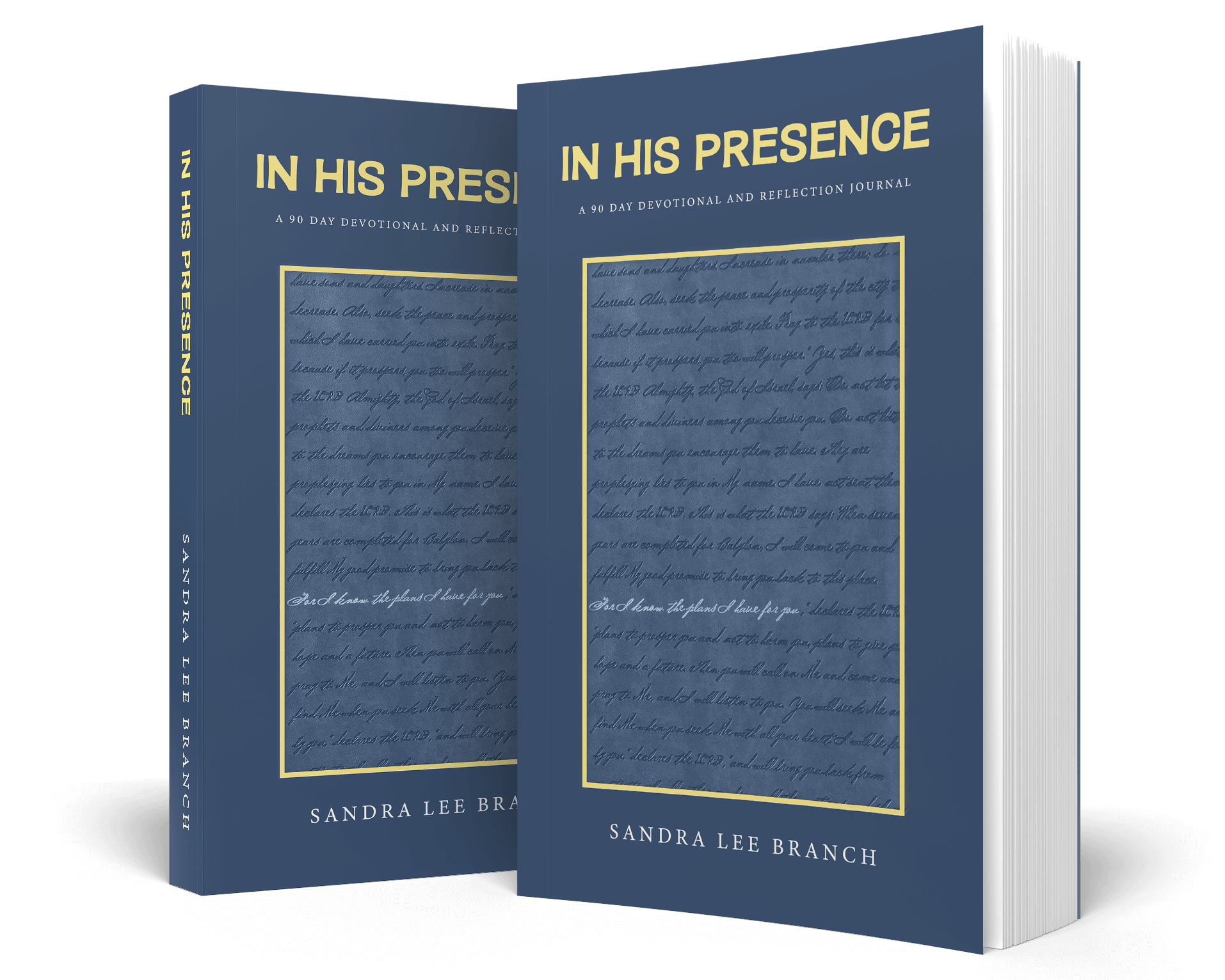 in his presence - paperback